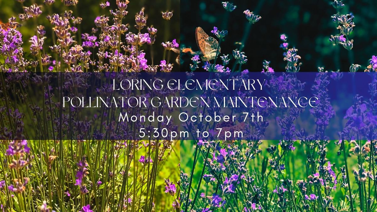 Pollinator Garden Maintenance at Loring Elementary