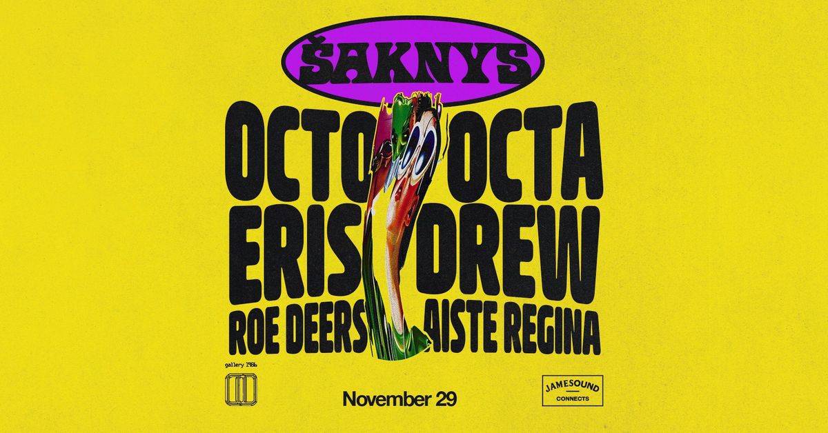 \u0160aknys 1986_gallery_: Octo Octa b2b Eris Drew, Roe Deers, Aiste Regina