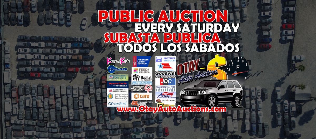 Public Auto Auction