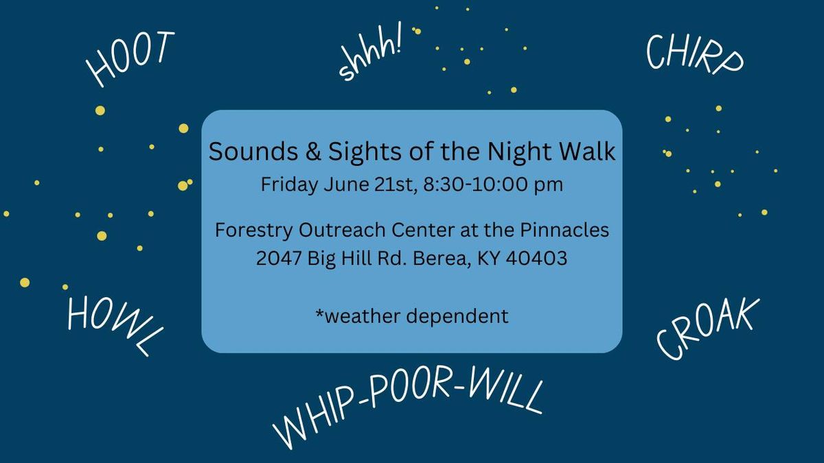 Sounds & Sights of the Night Walk