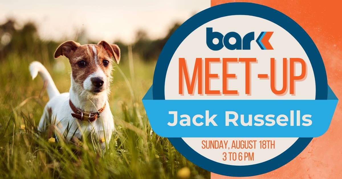 Breed Meet-up: Jack Russells