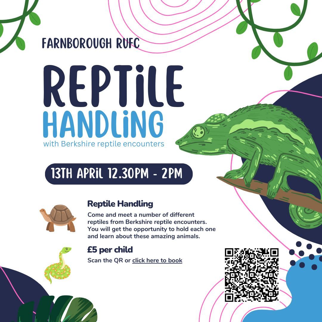 Reptile handling