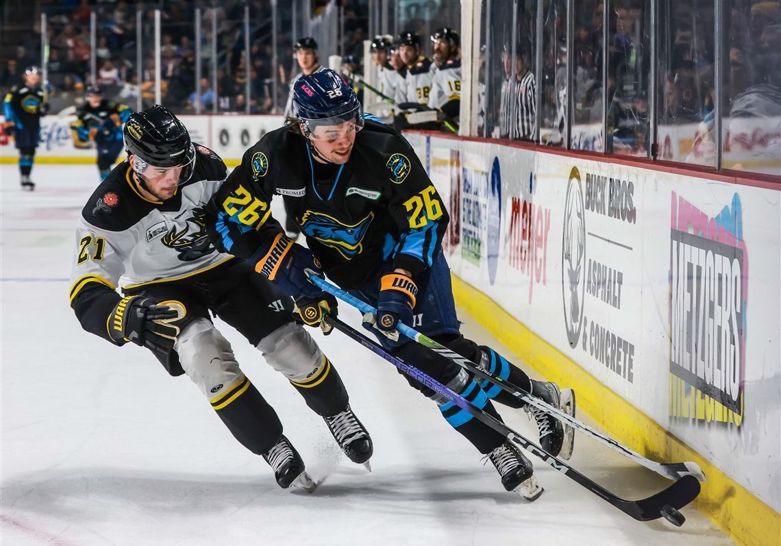 Iowa Heartlanders at Toledo Walleye