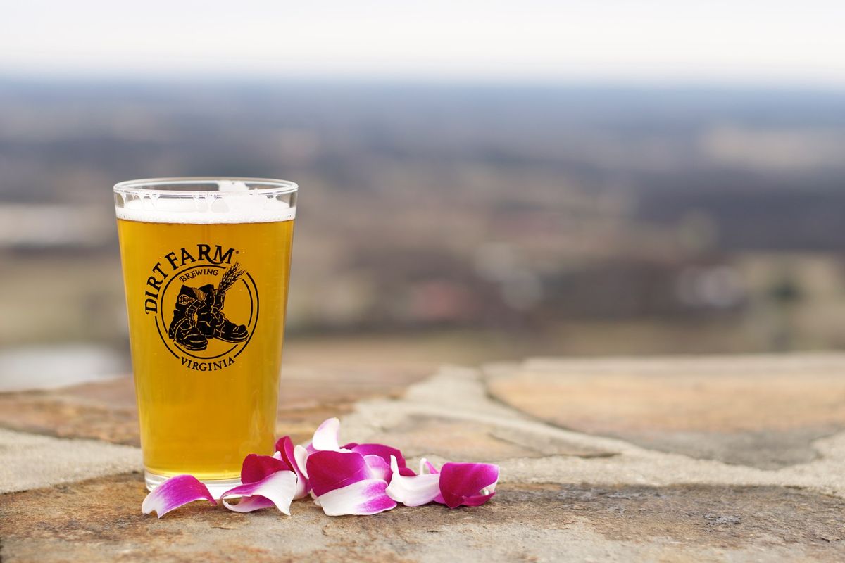 8th Annual Luau + Pineapple IPA + Pi\u00f1a Colada Hard Seltzer Release