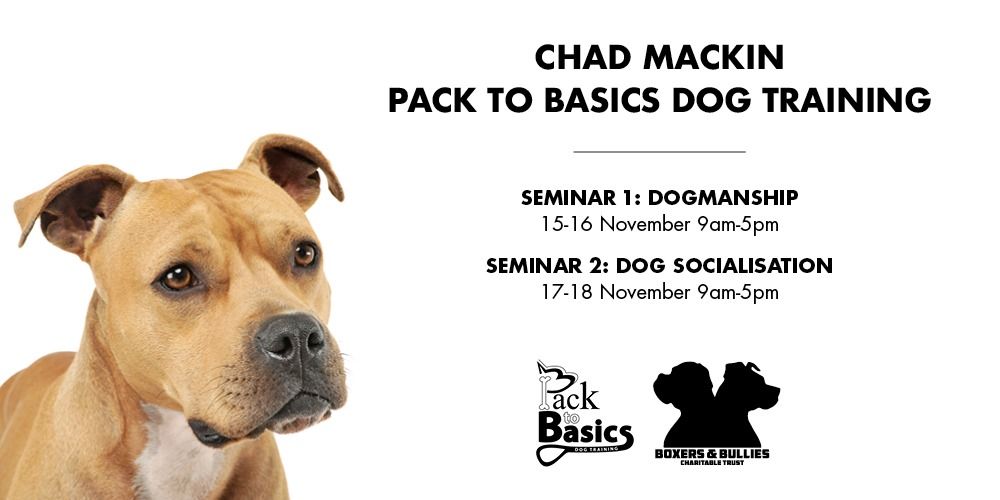 Chad Mackin New Zealand Seminars