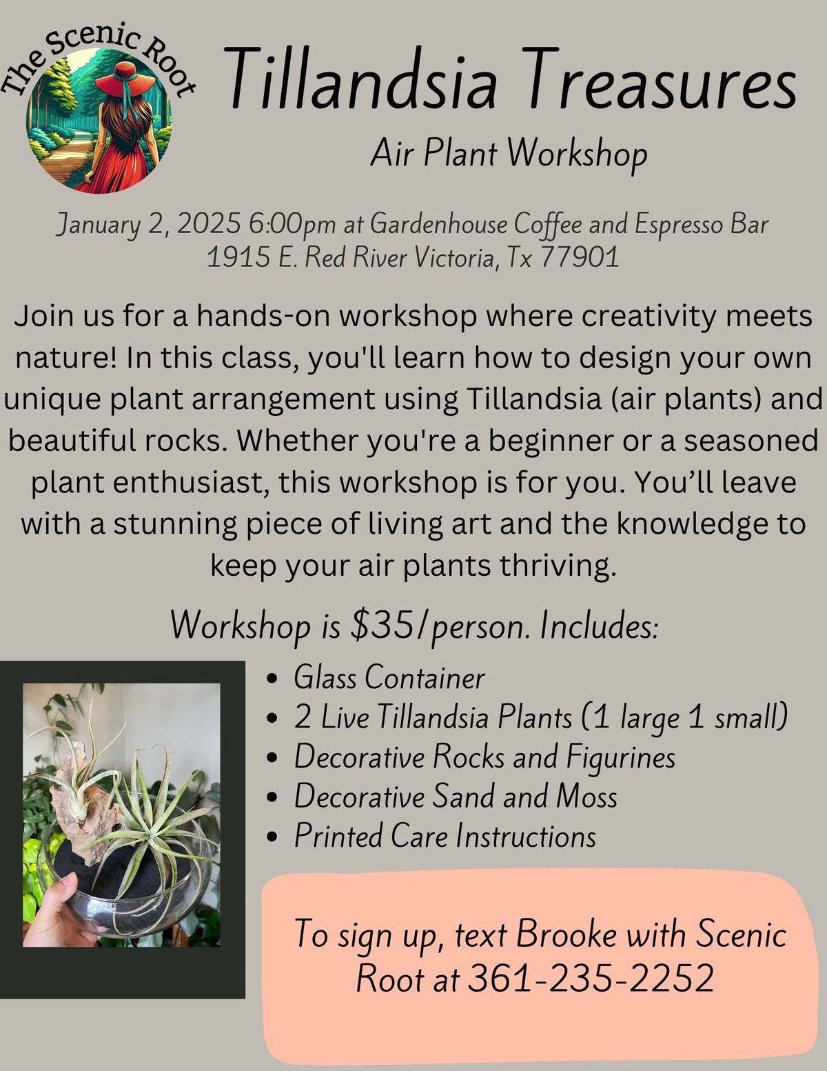 Tillandsia Treasure; Air Plant Workshop