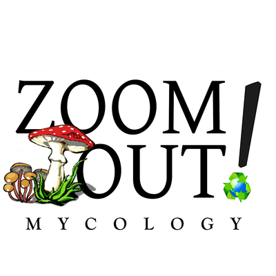 Zoom Out Mycology