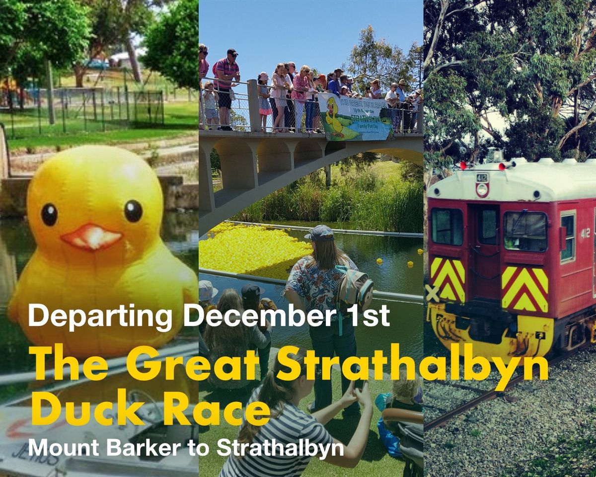 The Great Strathalbyn Duck Race