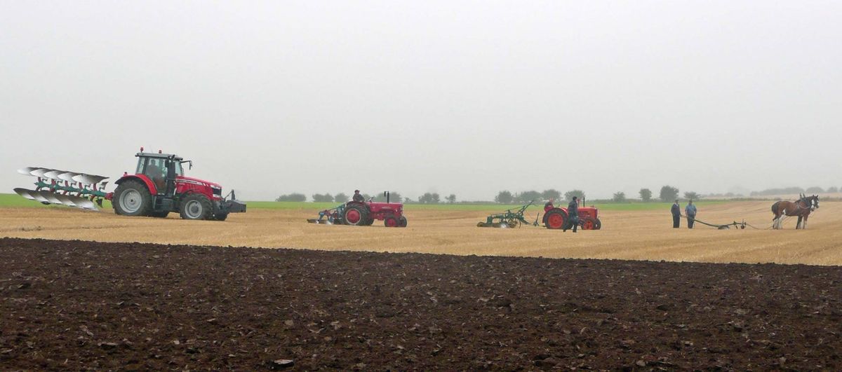 Wormside Agricultural Improvement Society 180th Annual Ploughing Match 