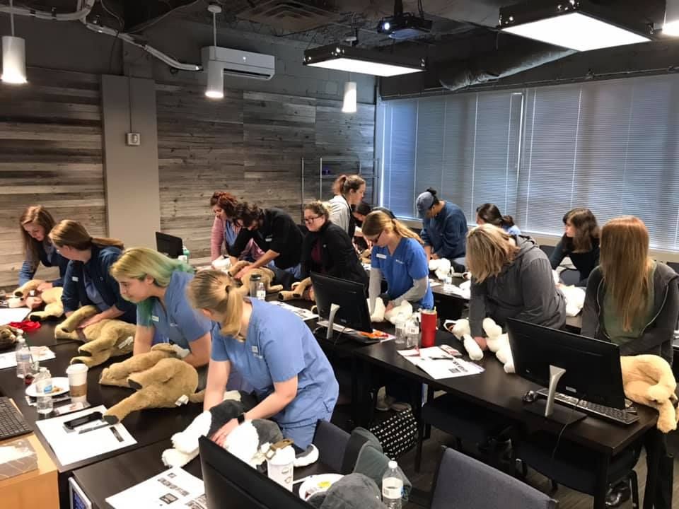 Pet CPR & First Aid Certification Workshop