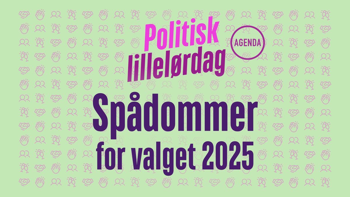 Politisk lillel\u00f8rdag: Sp\u00e5dommer for valget 2025