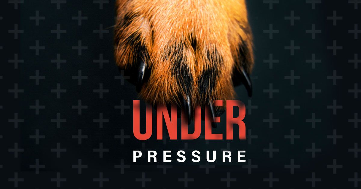 Paws Under Pressure: An Emergency Medicine Conference