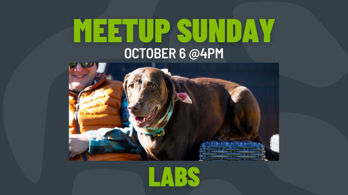 Meetup Sunday: Labs