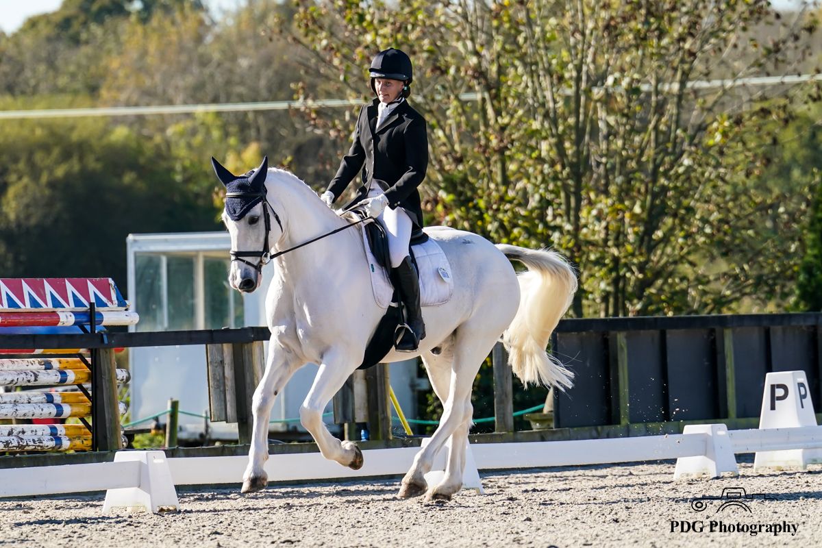 BD and Unaffiliated Dressage at Golden Cross, Sunday 9 March