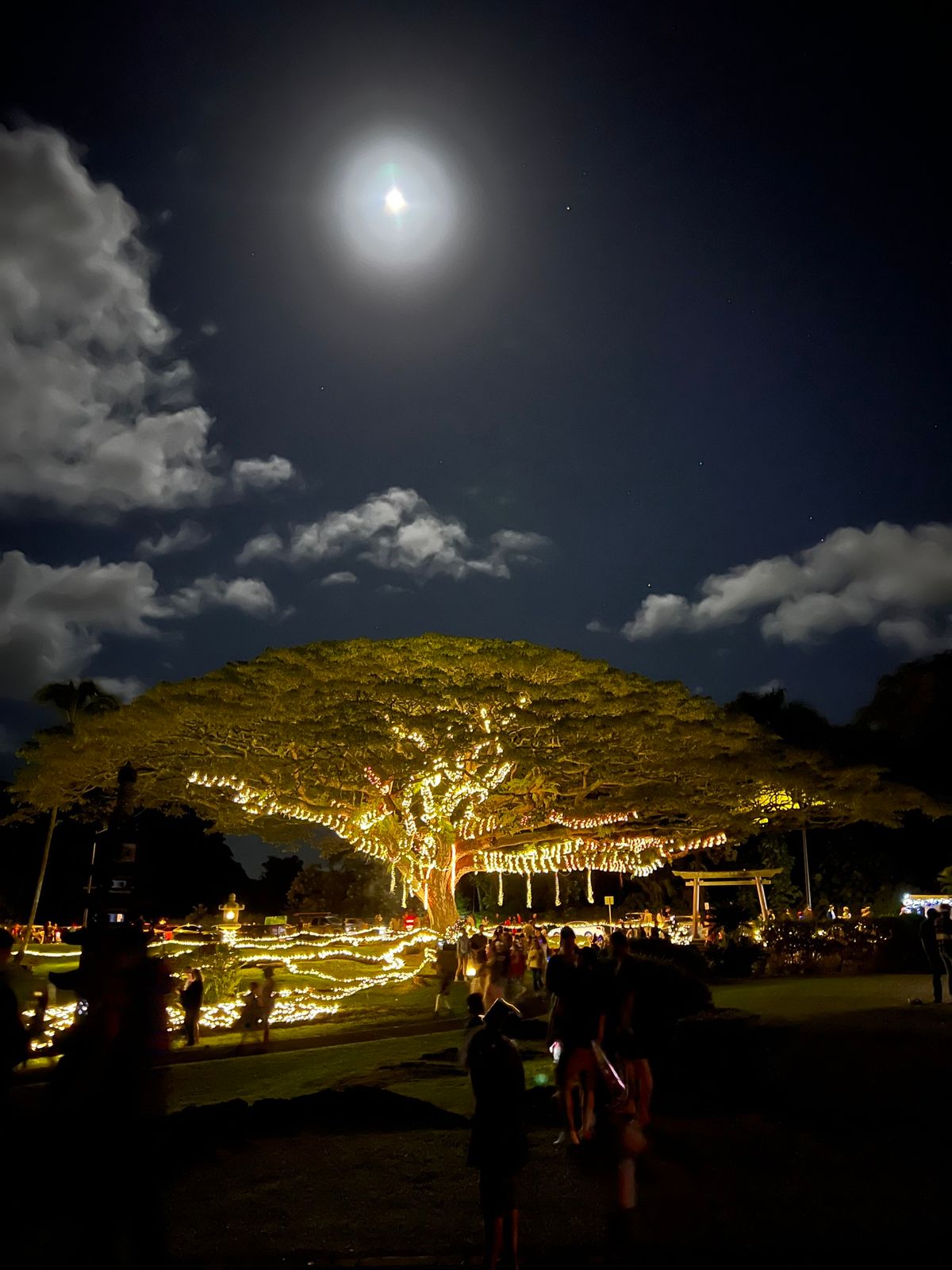 Garden Enchantment 8th annual Christmas Eve in the park