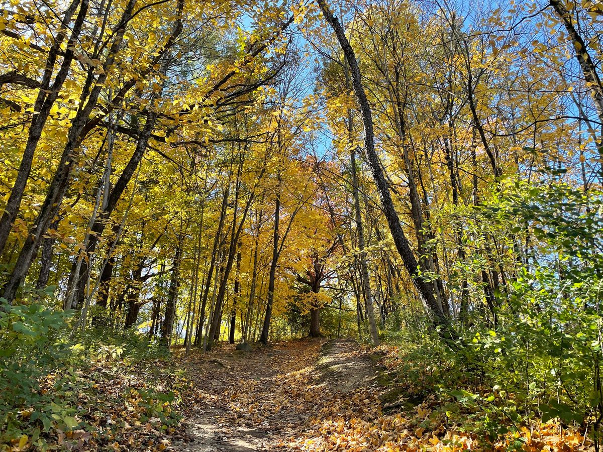 Fall Color Hike