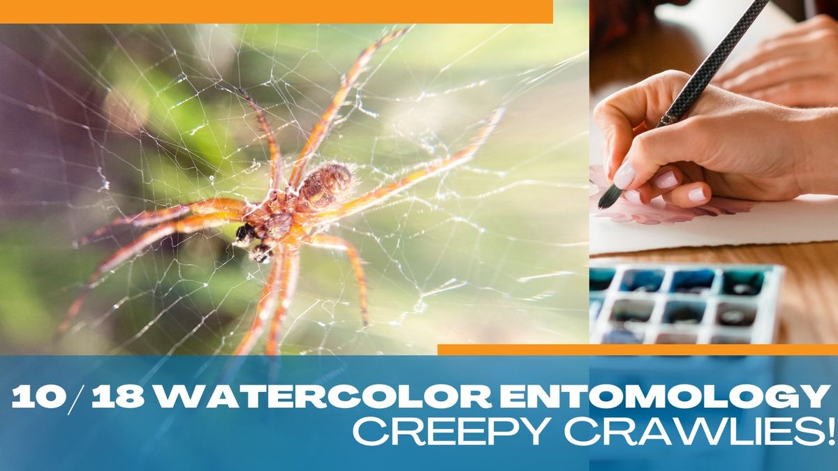 Watercolor Entomology: Creepy Crawlies!