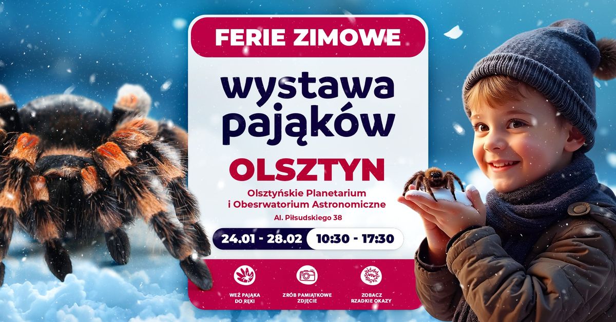 \ud83d\udd77\ufe0f Wystawa Paj\u0105k\u00f3w w Olsztynie! \u2744\ufe0f (24.01 - 28.02)