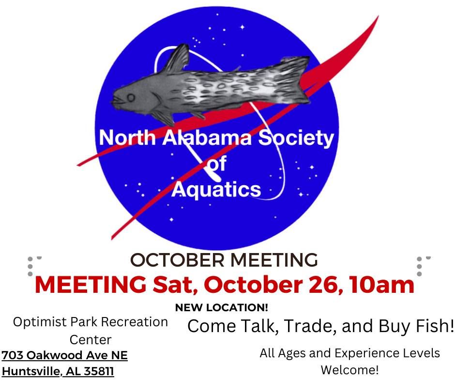 NASA October Meeting Featuring: Master Breeder Mitchell Broome on Breeding Corydoras