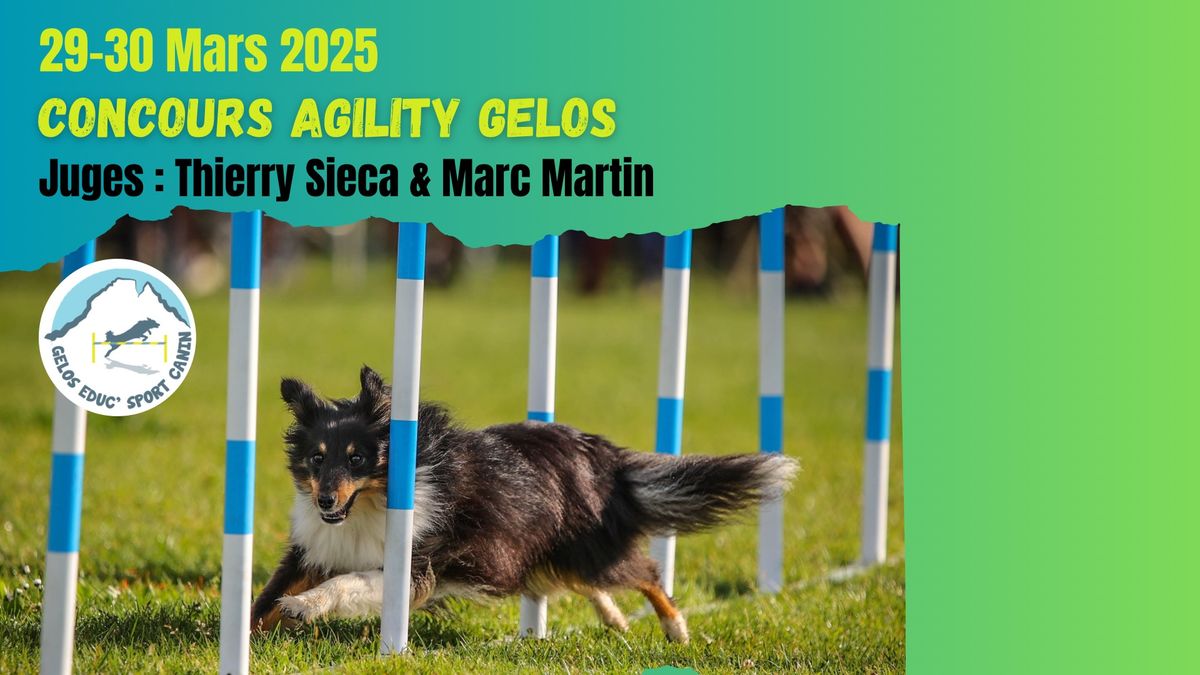 Concours Agility de Gelos