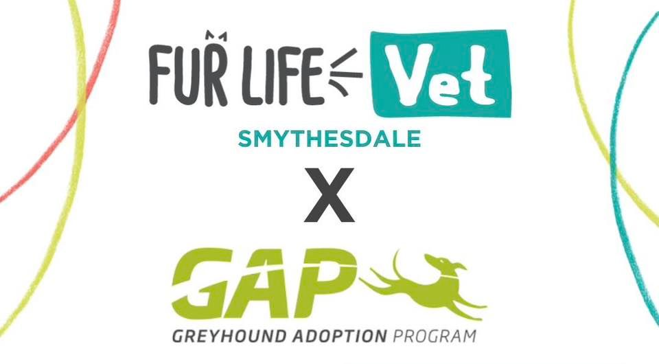 FLV Smythesdale X GAP - EOI