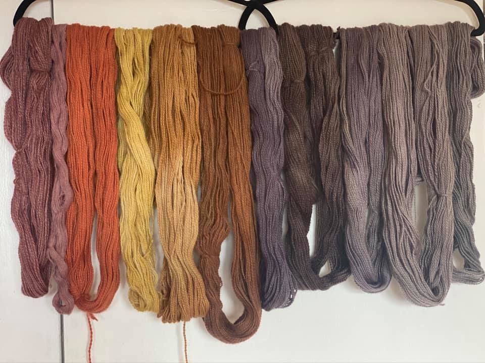 2nd Annual Community Dyeing with mushrooms and lichens- learn, craft potluck,  and dye-a-long!