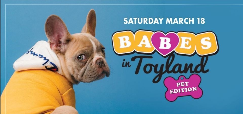 Babes in Toyland - Pet Edition