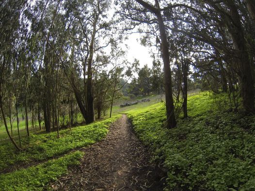 Philosopher's Way Trail Hike