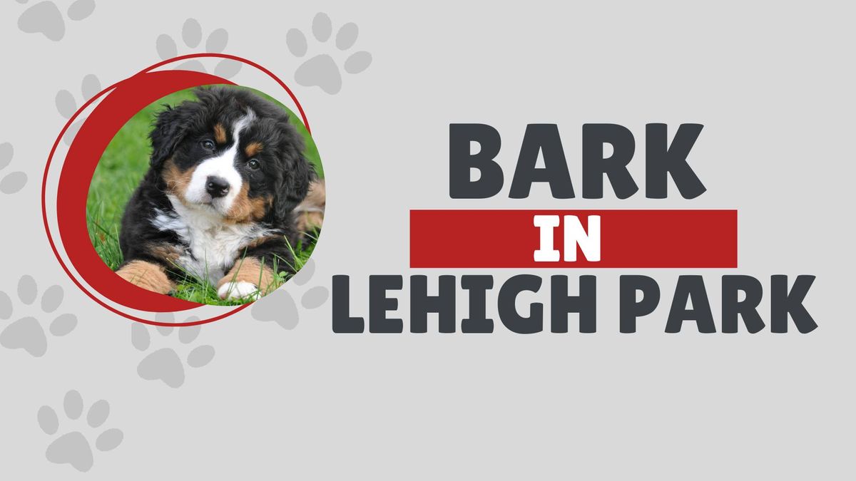 Bark in Lehigh Park