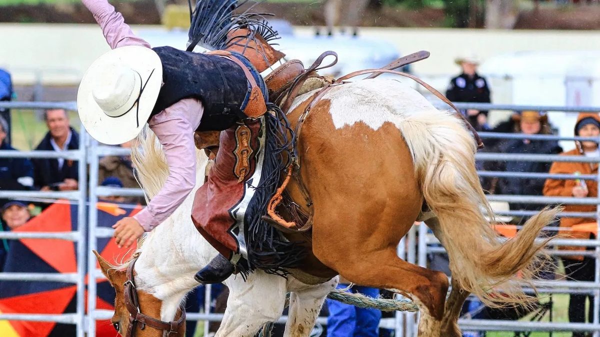 2024 Kapunda Rodeo