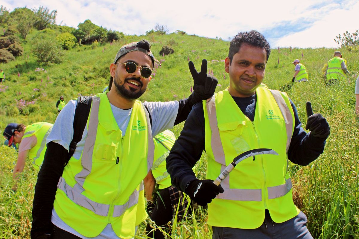 \u014cwhiro Stream Restoration Project - Tree Rescue 