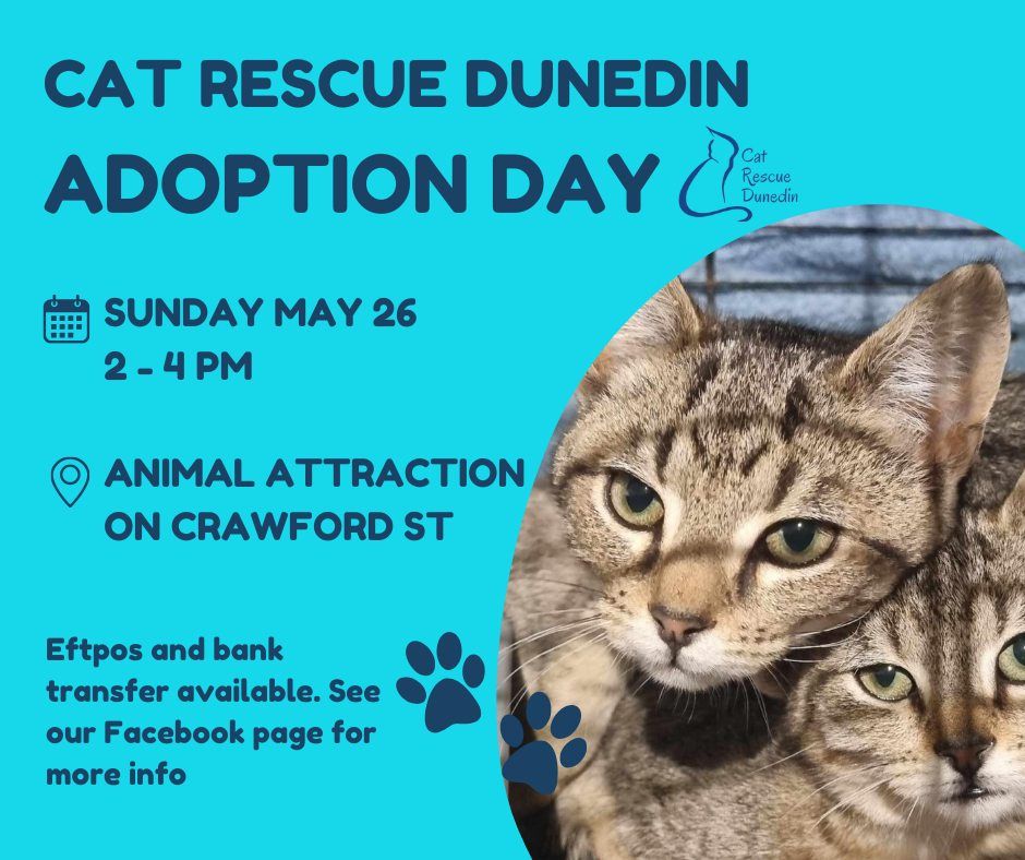 Cat Rescue Dunedin Adoption Day