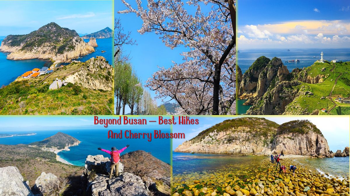 Jirisan Challenge, Busan Cherry Blossom & Beyond Hiking Adventures