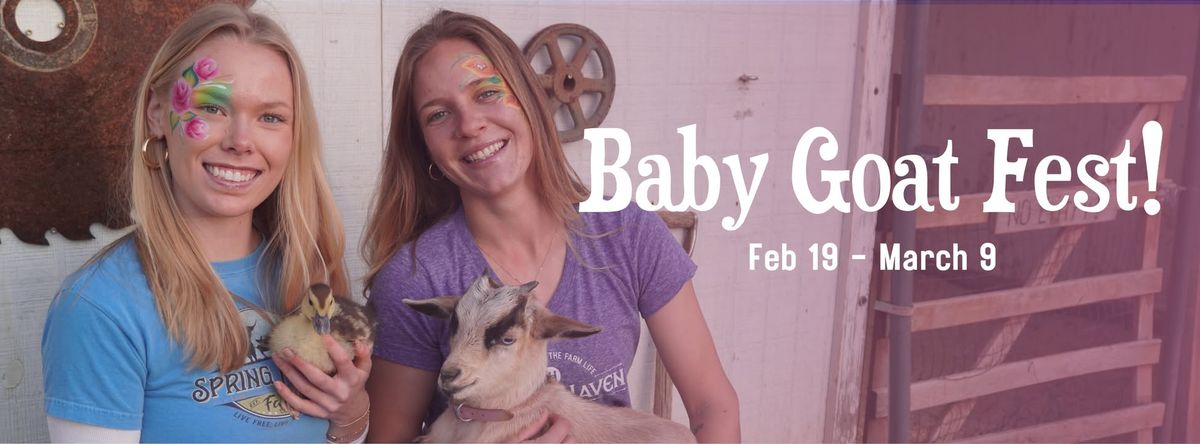 Baby Goat Festival