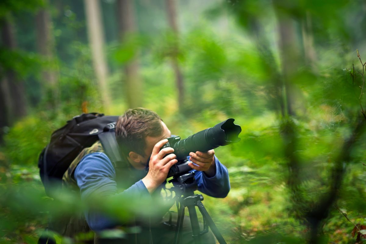 Landscapes Through A Lens: Photography Workshop