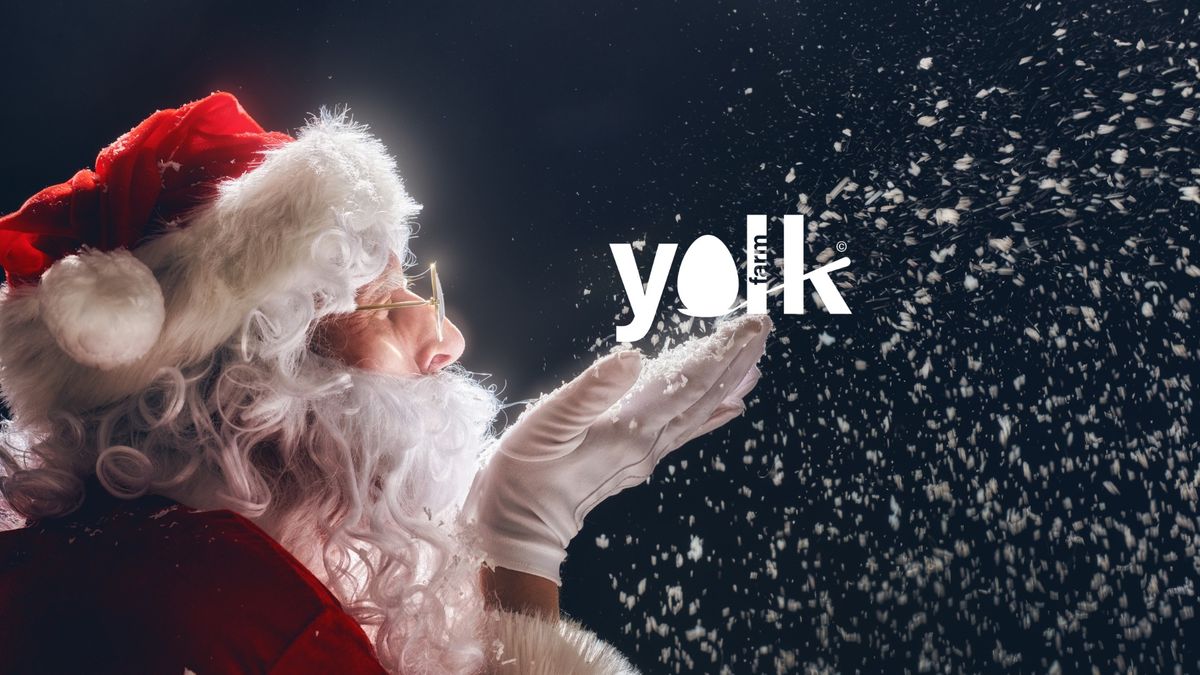 Father Christmas At Yolk Farm