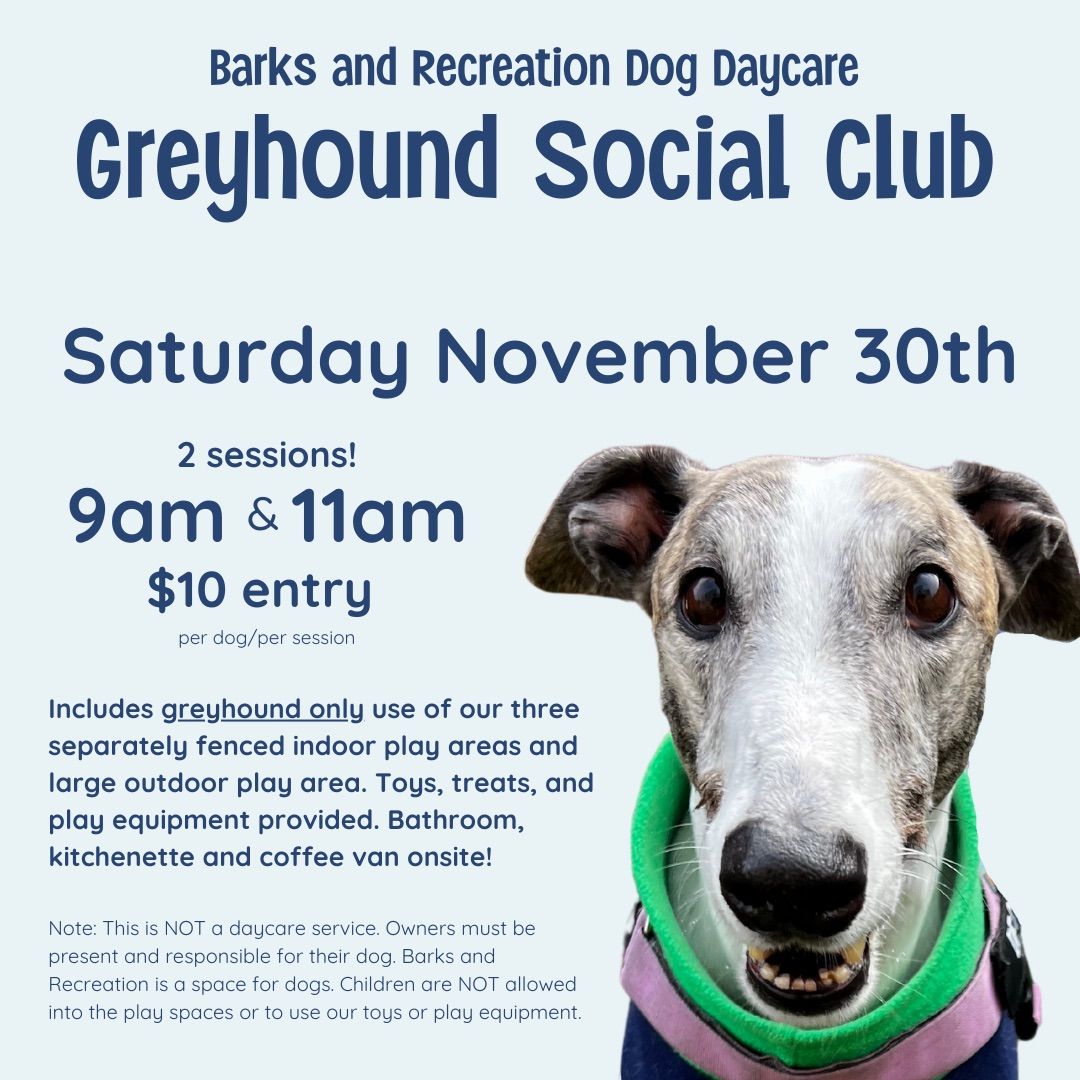 Greyhound Social Club Saturday November 30th