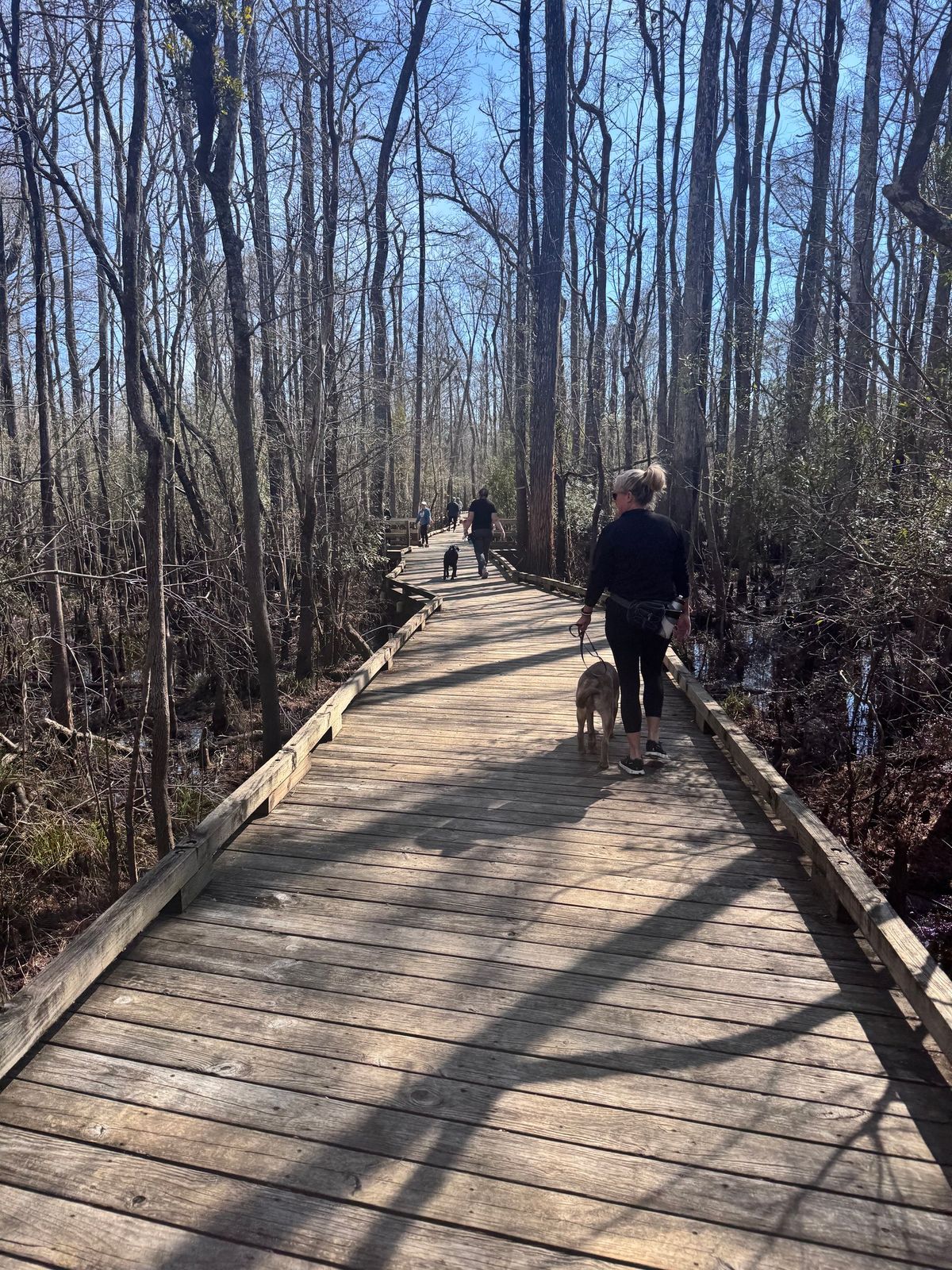 Pack Walk