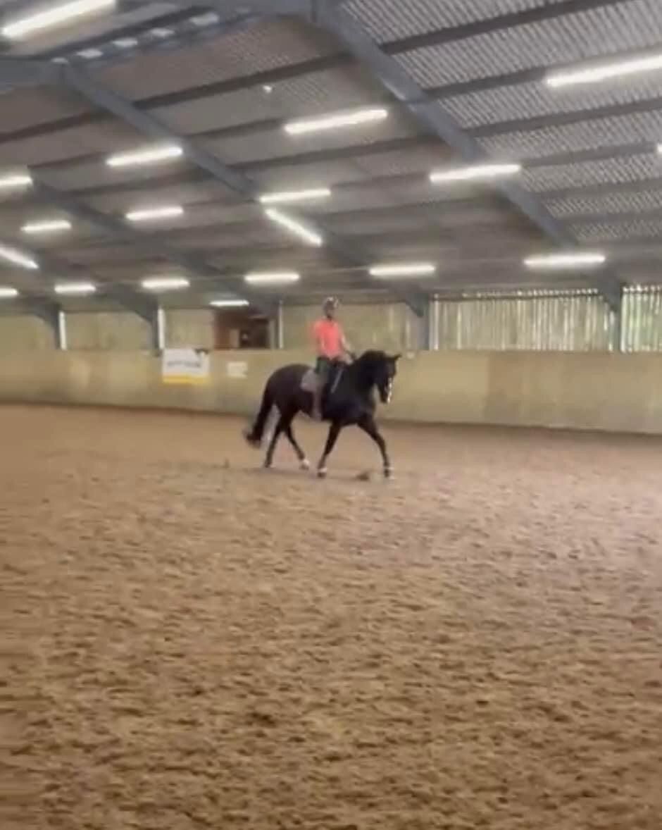 Dressage Training with John Chubb