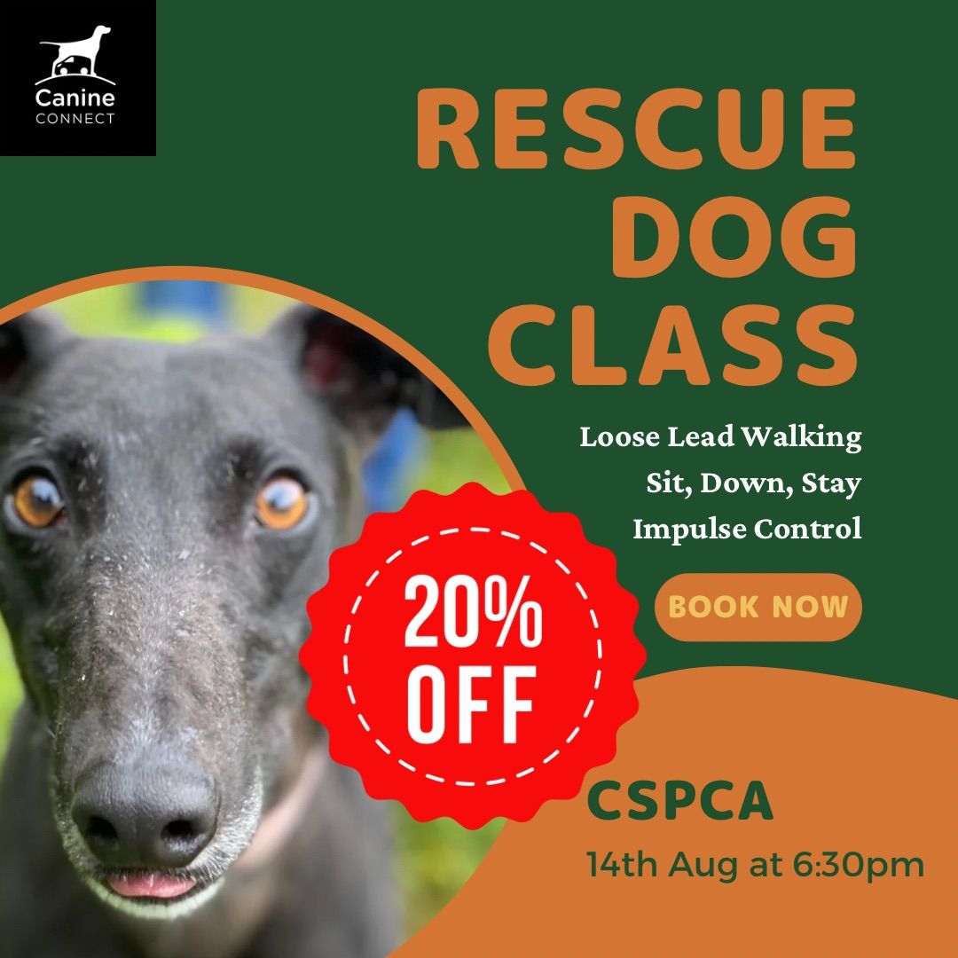 SOLD OUT | Rescue Dog Class at the CSPCA