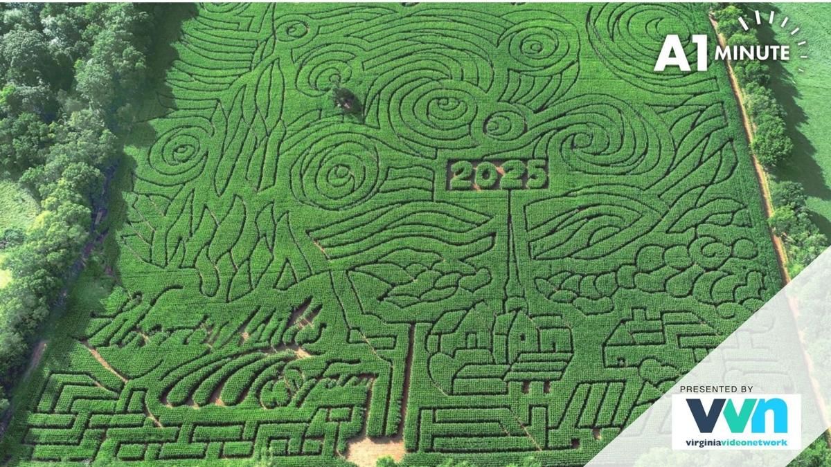 Ally ACC WBBT - Lit Lounge Hospitality Add-on - Sun March 08 2026