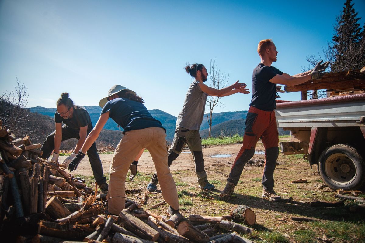 Chantier participatif automne \ud83c\udf41