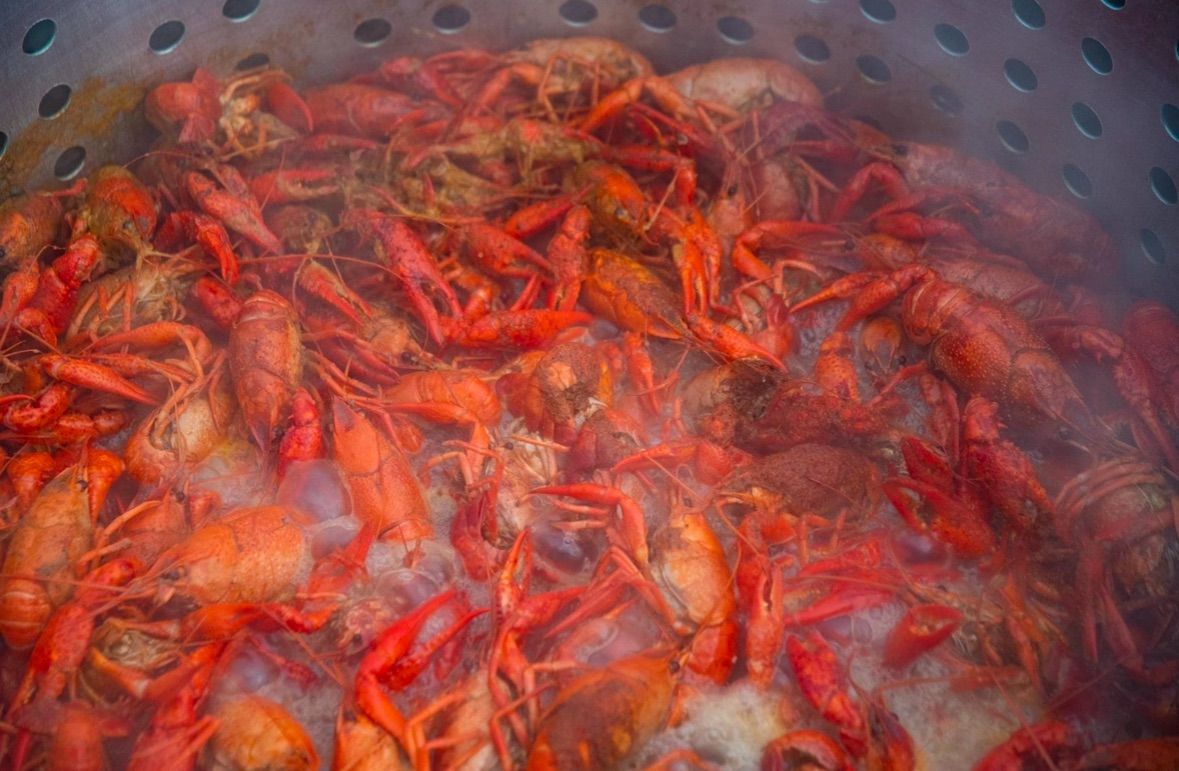 15th Annual Crawfish Festival!