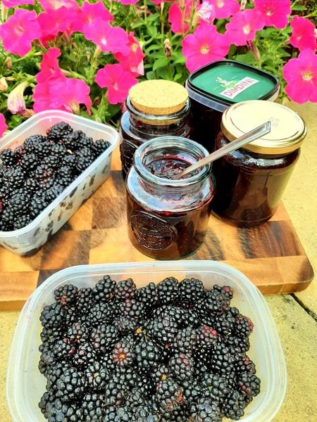 Artisan Workshop - Jams Made in a Jiffy (Takaka)