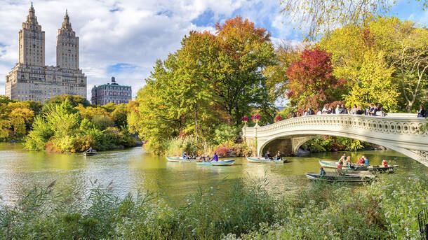 Central Park Tours - Explore the Urban Beauty of Central Park