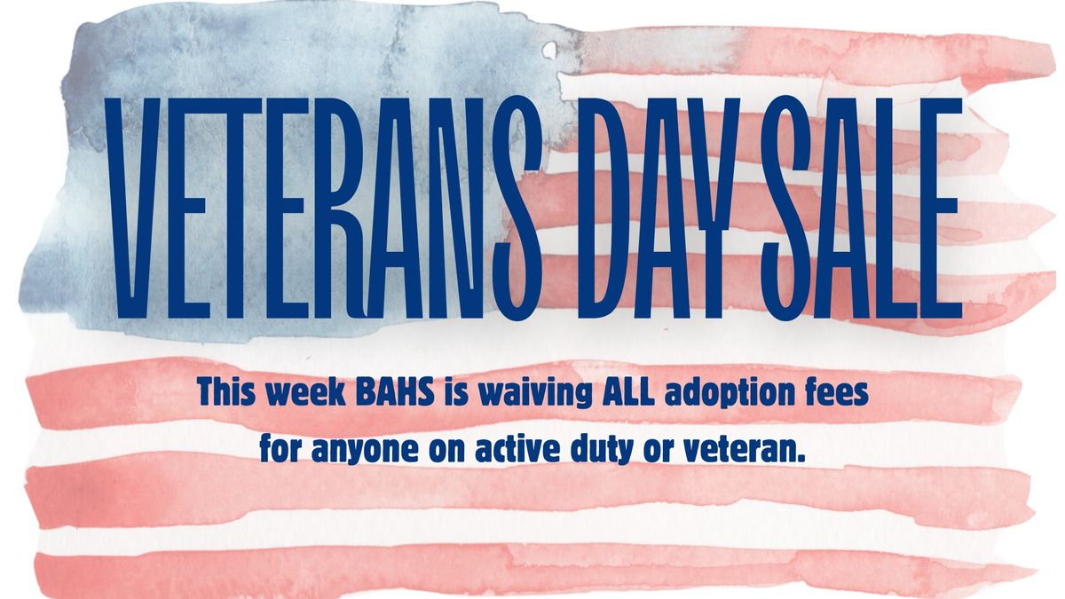 BAHS Veterans Day Sale