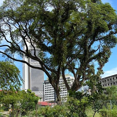 Eats, Shoots & Roots