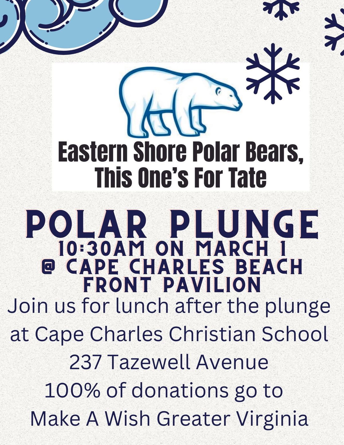 Polar Plunge