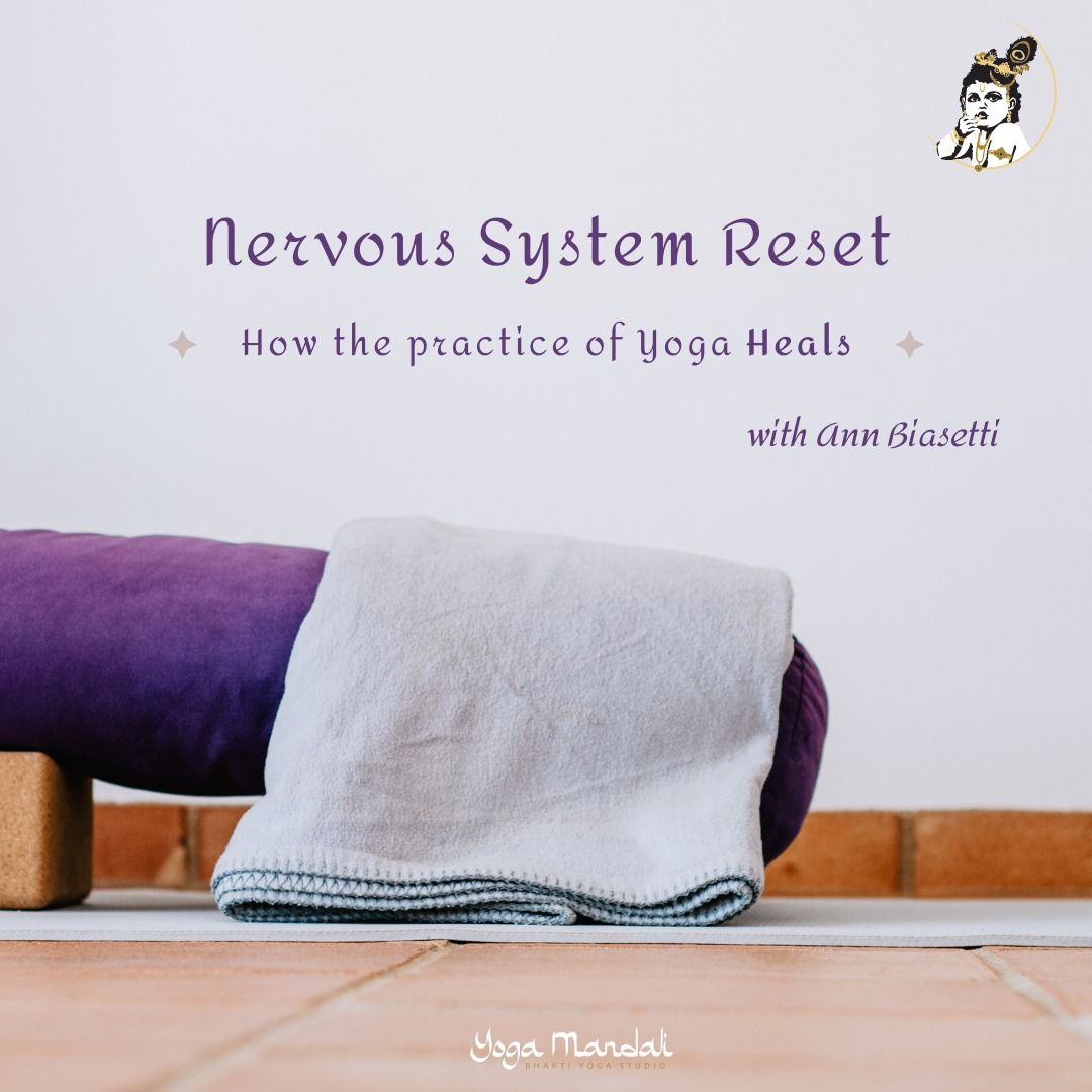 Nervous System Reset with Ann Biasetti