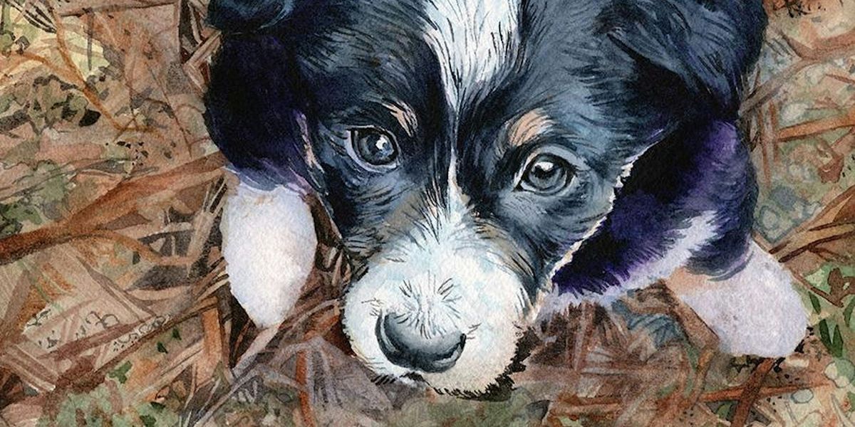 Paint Your Pet In Watercolor October 2024